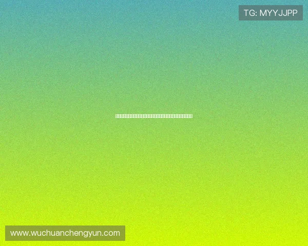 雷速篮球比分直播平台带你实时掌握全球篮球赛事动态最新资讯精彩